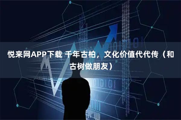 悦来网APP下载 千年古柏，文化价值代代传（和古树做朋友）