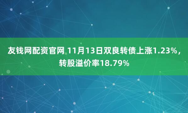 友钱网配资官网 11月13日双良转债上涨1.23%，转股溢价率18.79%