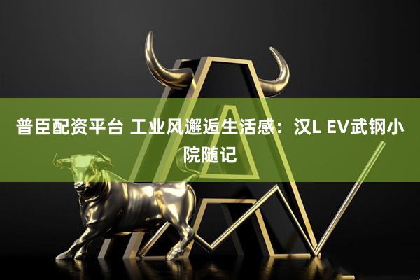 普臣配资平台 工业风邂逅生活感:汉L EV武钢小院随记