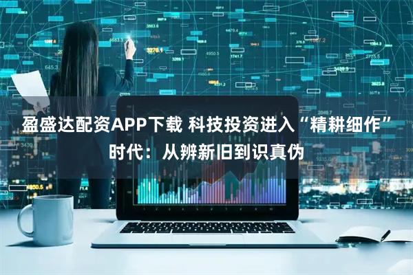 盈盛达配资APP下载 科技投资进入“精耕细作”时代：从辨新旧到识真伪