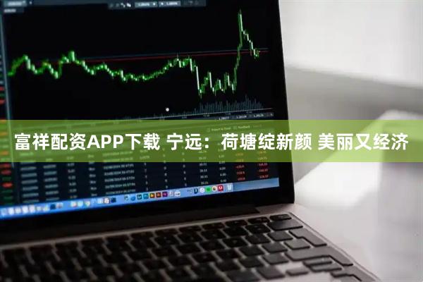 富祥配资APP下载 宁远：荷塘绽新颜 美丽又经济
